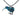 Paua Resin Kiwi Cord Necklace