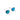 Paua 7mm Oval Stud Earrings