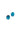 Paua 13mm Round Stud Earrings