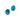 Paua 13mm Round Stud Earrings
