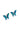 Paua Butterfly Diamante Stud Earrings