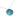 Paua Minimalist Disc Chain Necklace