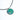 Paua Large Circle Swirl Cord Necklace
