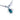 Paua Penguin Beaded Chain Necklace