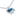 Paua Pony Chain Necklace
