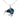 Paua Medium Classic Kiwi Pendant Necklace