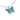 Paua Monarch Chain Pendant Necklace