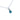 Paua Kowhai Chain Pendant Necklace