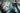 Paua Shell Banner Shells Stacked Colourful