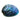 Paua Shell Fully Polished Medium