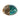 Paua Shell Half Polished Medium No Box