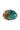 Paua Shell Half Polished Medium No Box