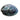 Paua Shell Fully Polished Small