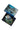 Paua Shell Fully Polished Small Boxed