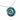 Paua Resin Koru Kowhaiwhai Chain Necklace